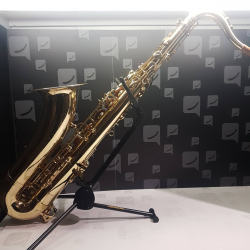 SAXOPHONE STAGG WS-TS215S +...