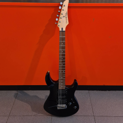 Guitare  Yamaha TG121U...