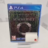 Jeu PS Summerset 
