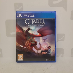 Jeu PS4 Citadel: Forged...