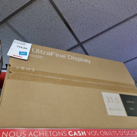 Moniteur PC 4K LG 32UR500K 24 