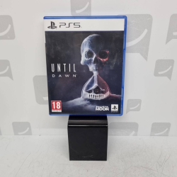 Jeu PS5 UNTIL DAWN 