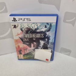Jeu PS Wild Hearts  