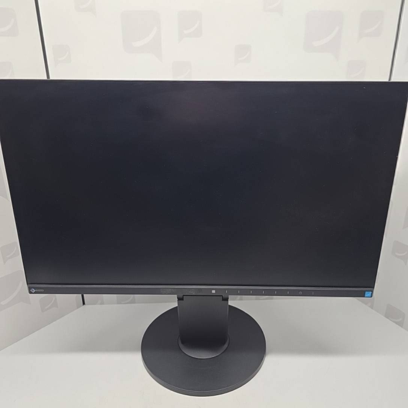 Moniteur FLEXSCAN EV2450 