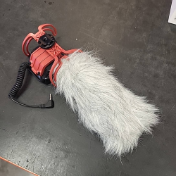 micro Rode videomic 