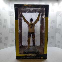 FIGURINE VALENTINO ROSSI...